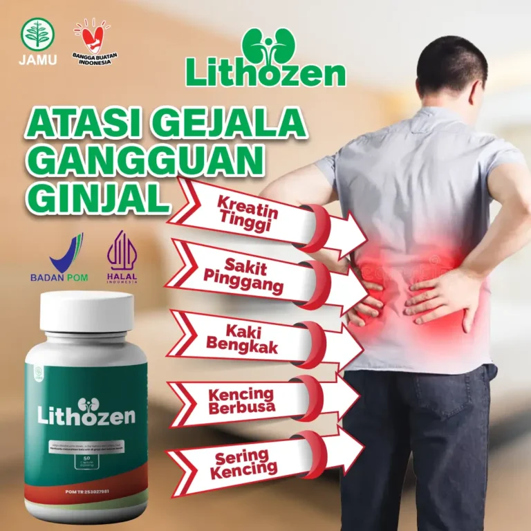obat gangguan ginjal lithozen