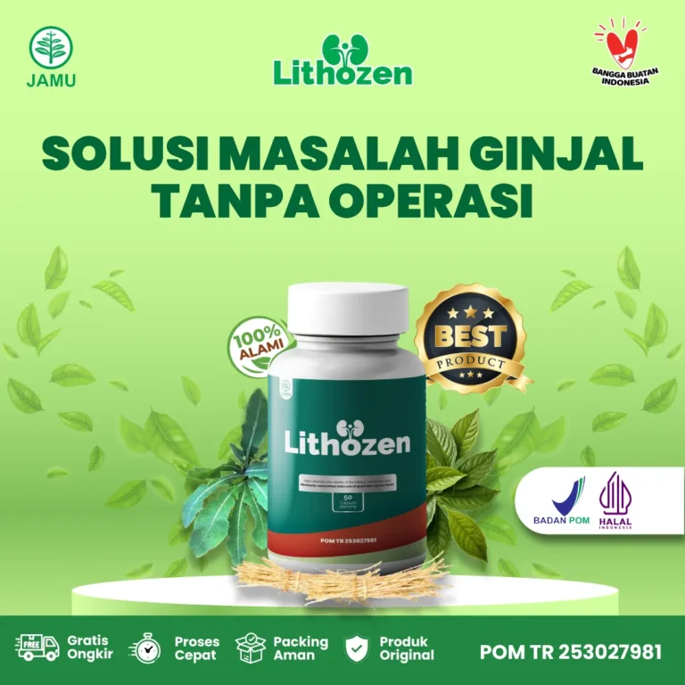 obat gangguan ginjal lithozen